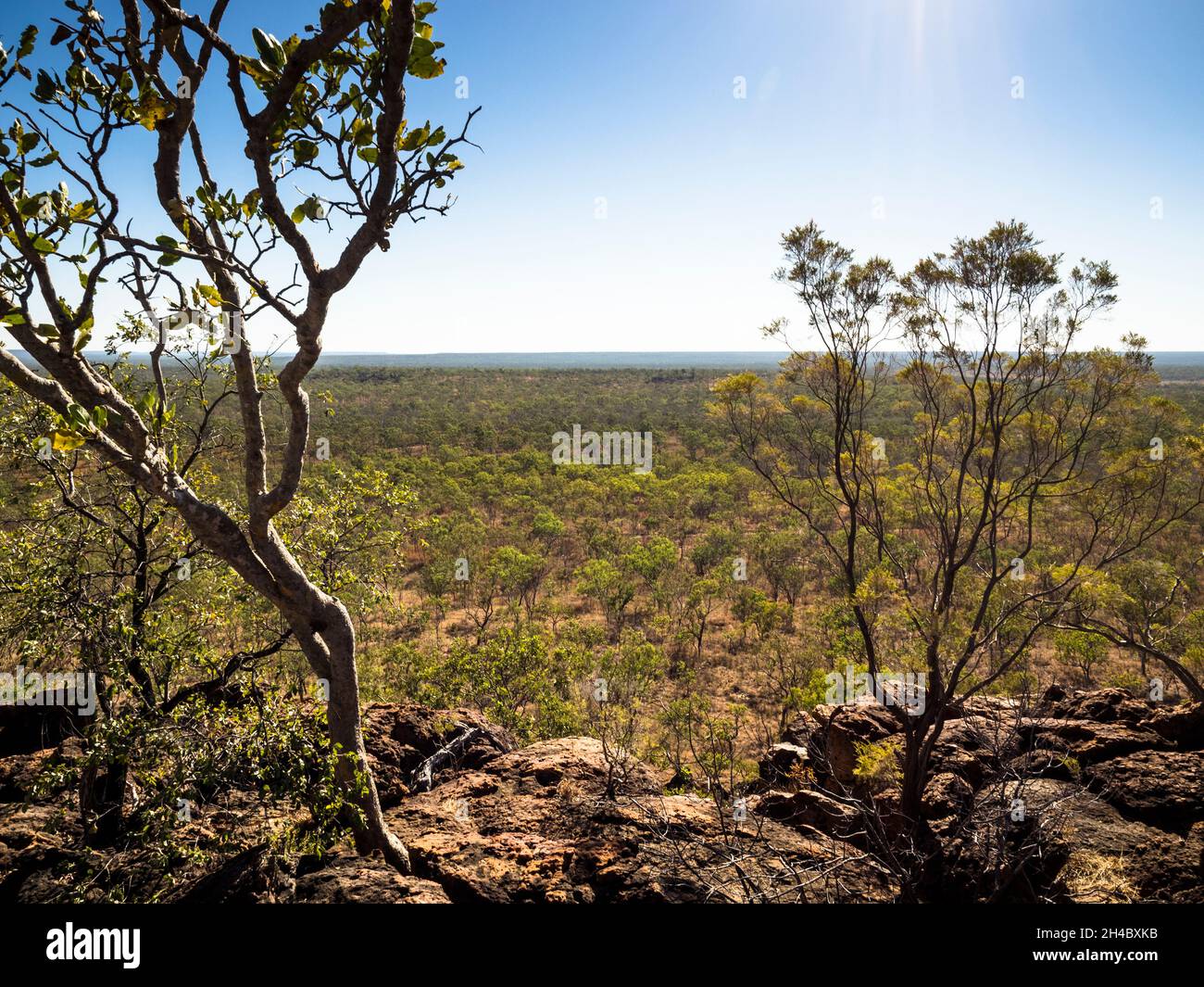 Vue depuis le mont Glemont sur la savane de la station de Charnley River, West Kimberley, Australie occidentale Banque D'Images