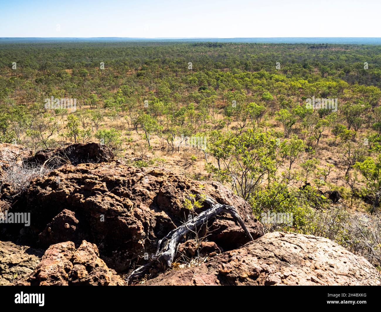 Vue depuis le mont Glemont sur la savane de la station de Charnley River, West Kimberley, Australie occidentale Banque D'Images