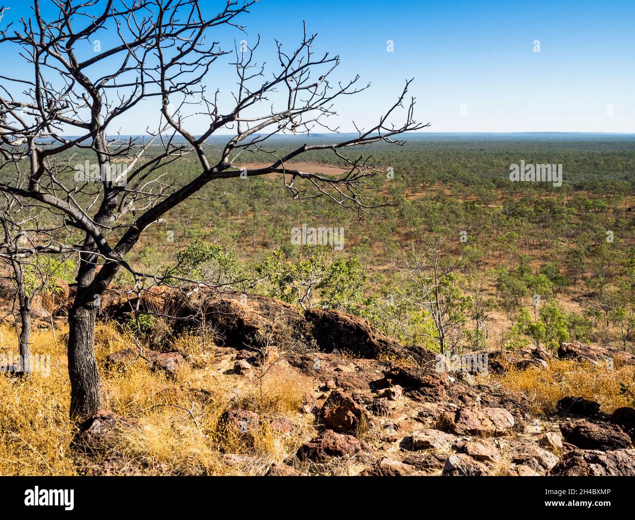 Vue depuis le mont Glemont sur la savane de la station de Charnley River, West Kimberley, Australie occidentale Banque D'Images