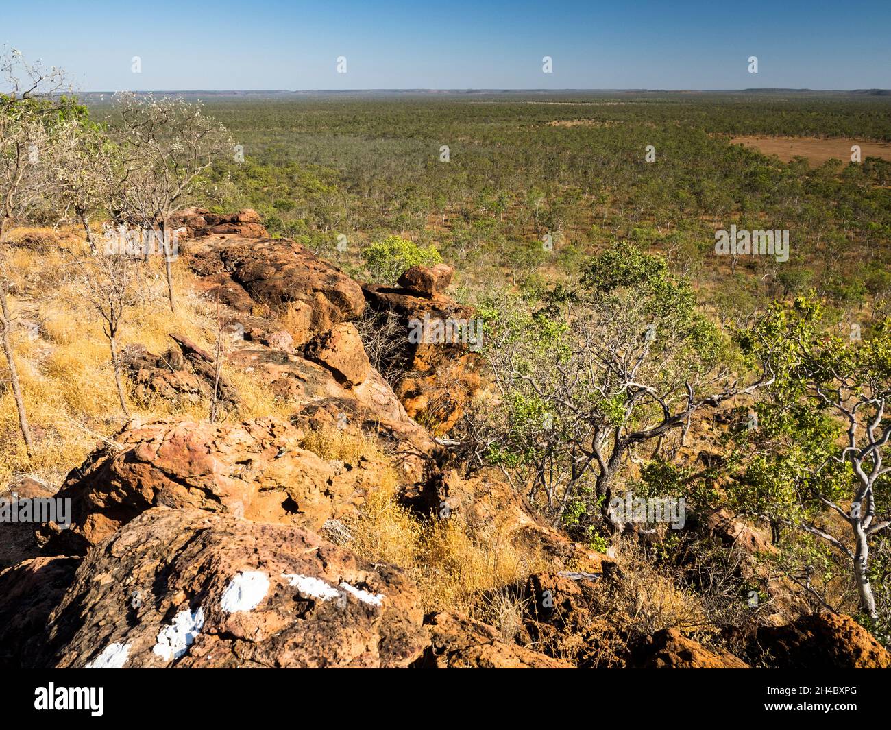 Vue depuis le mont Glemont sur la savane de la station de Charnley River, West Kimberley, Australie occidentale Banque D'Images