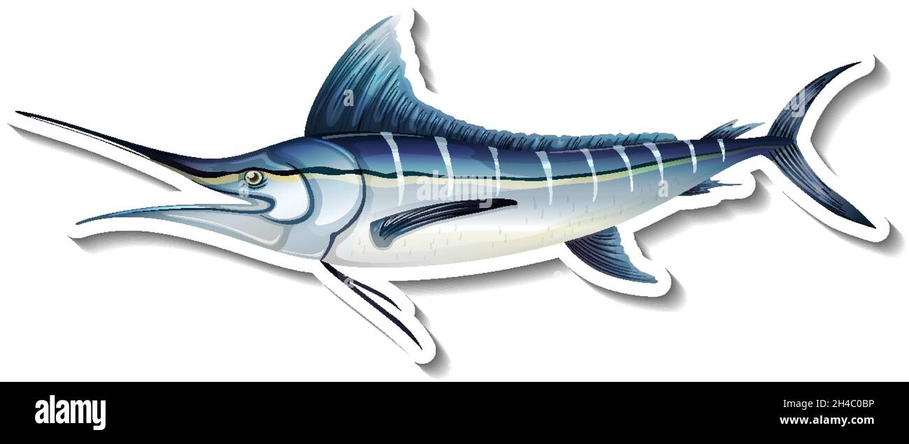 Autocollant de poisson de marlin bleu de l'Atlantique sur fond blanc illustration Illustration de Vecteur