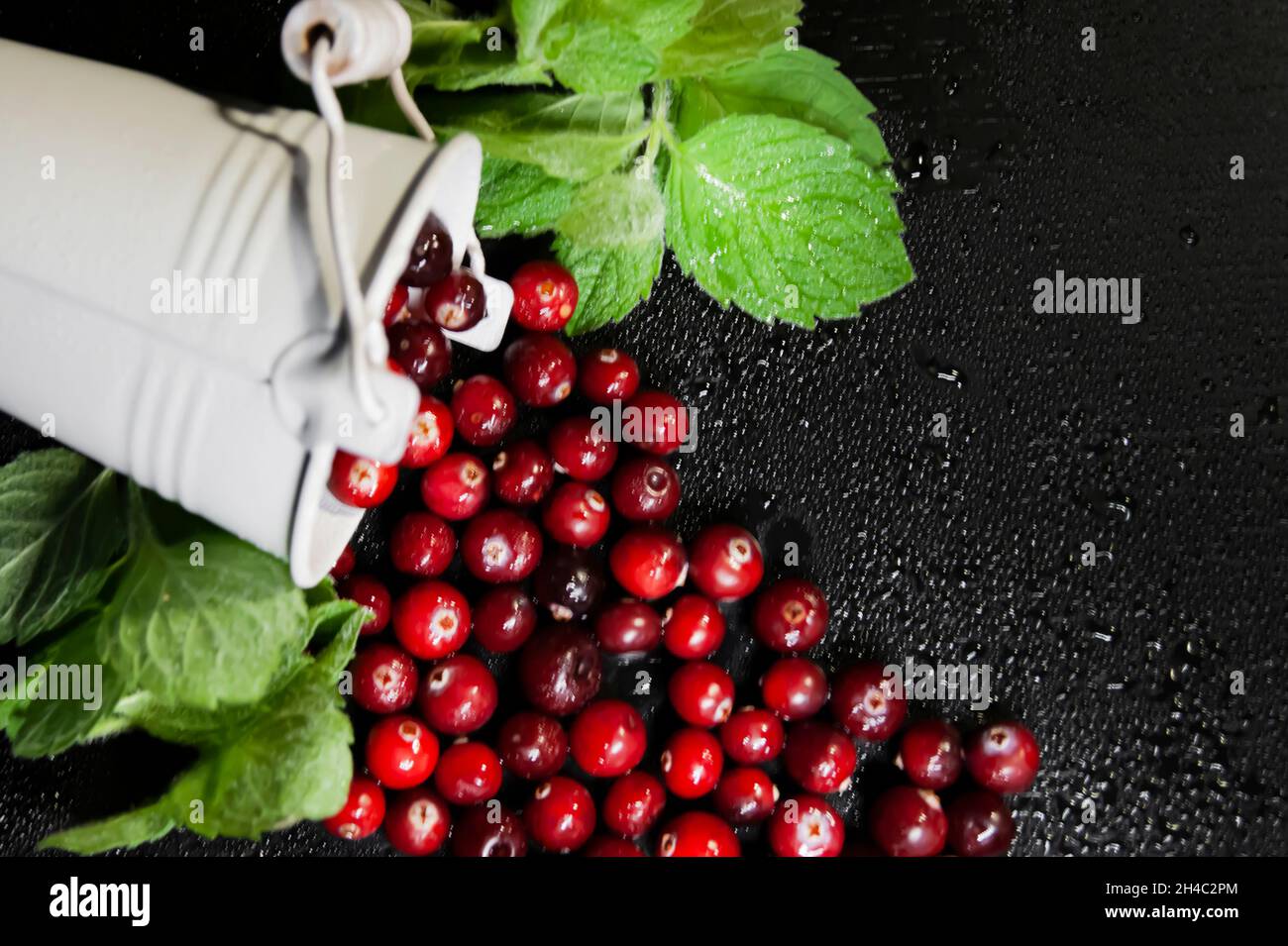 Canneberges avec des fours à la menthe dans le seau blanc.Arrière-plan sombre.Copier l'espace.Tout est recouvert de gouttelettes d'eau. Banque D'Images