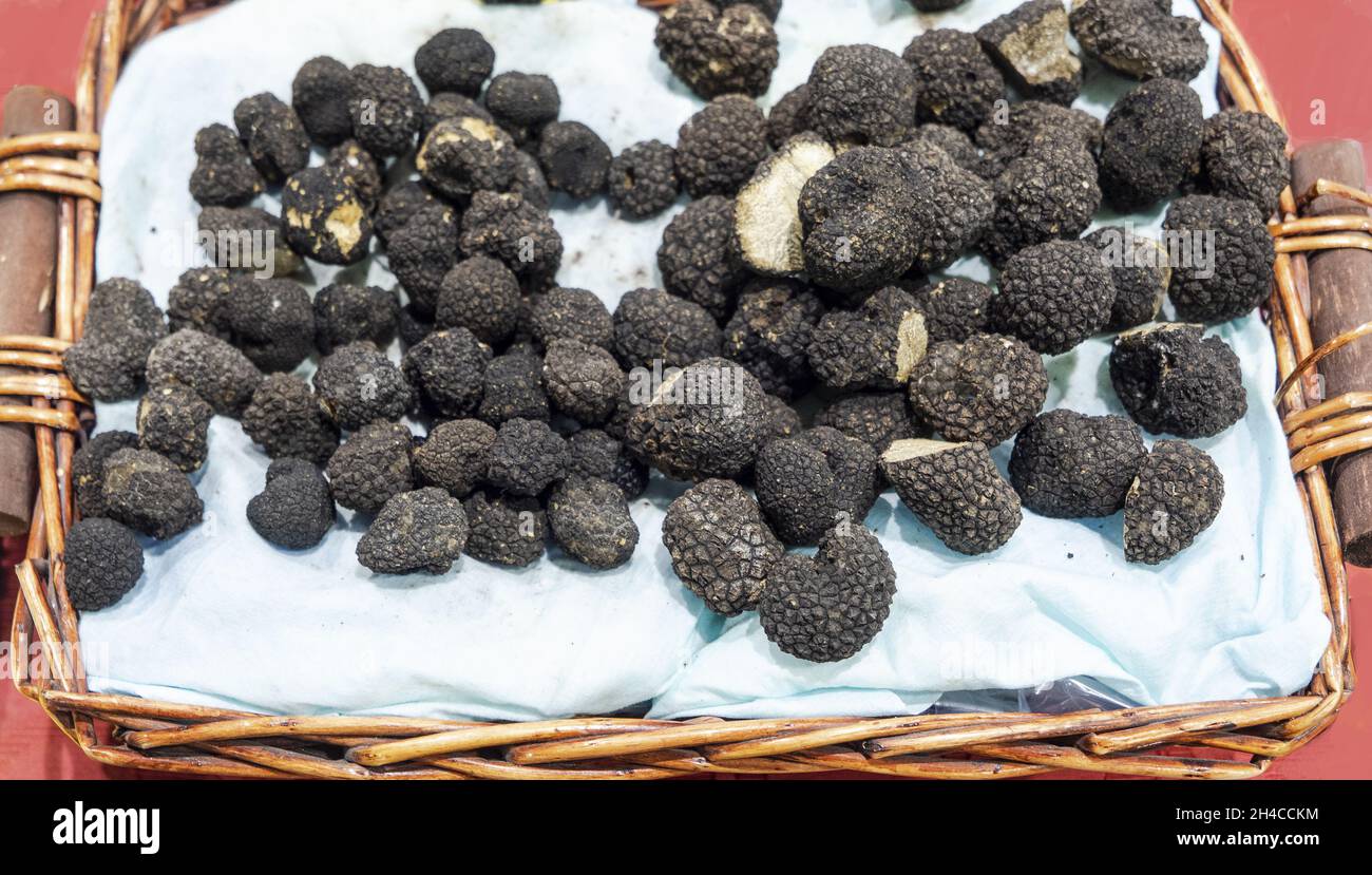 plateau avec champignons de truffe noirs frais Banque D'Images