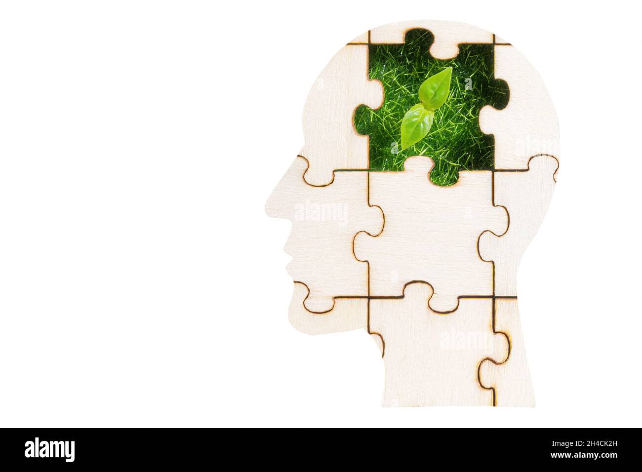 Puzzle en forme de profil de tête mâle avec un sprout vert visible à travers la pièce manquante isolée sur blanc.Développer un état d'esprit écologique. Banque D'Images