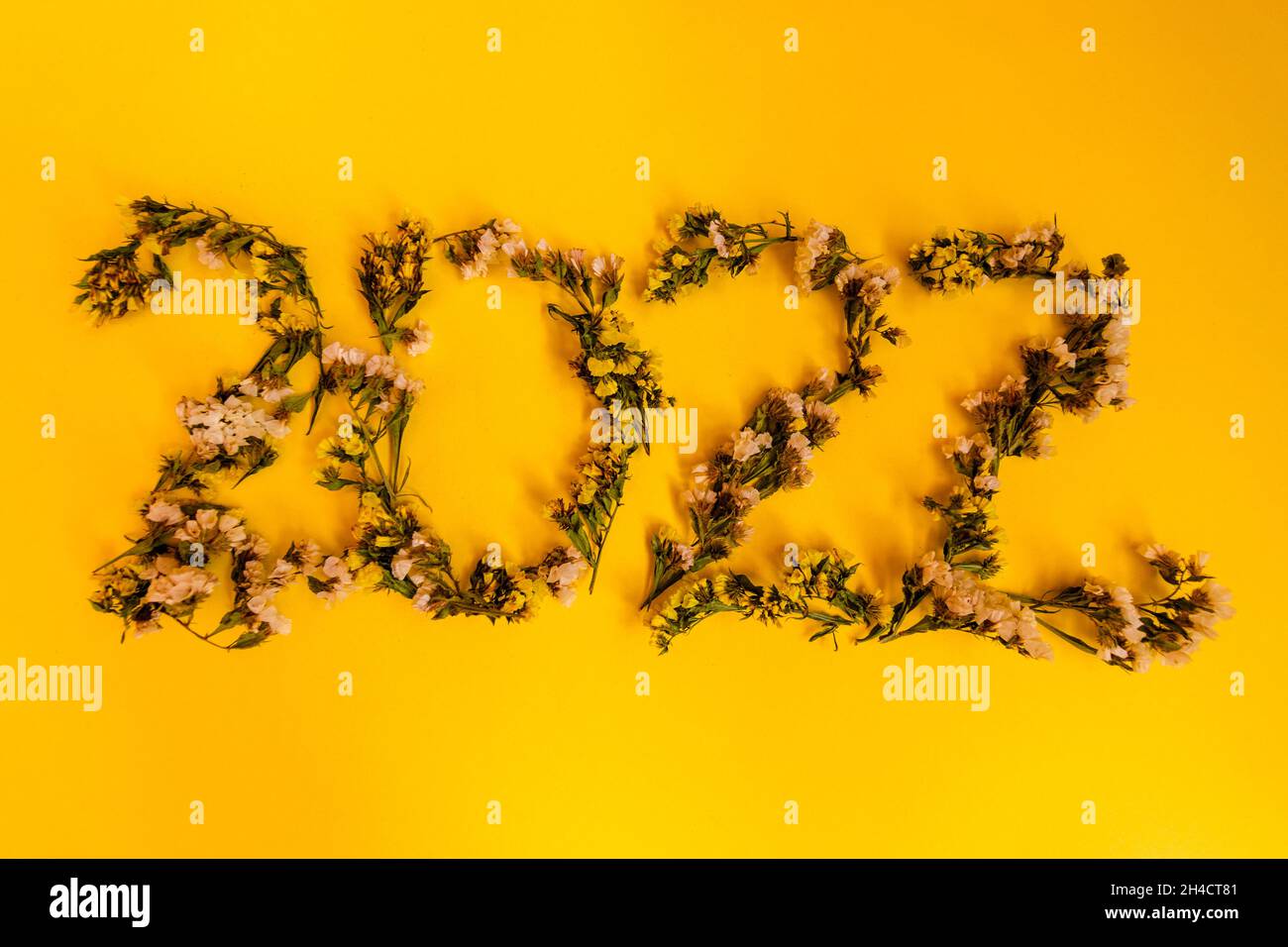 Nouvelle année.2022 est disposé de fleurs séchées en treillis sur fond jaune. Banque D'Images