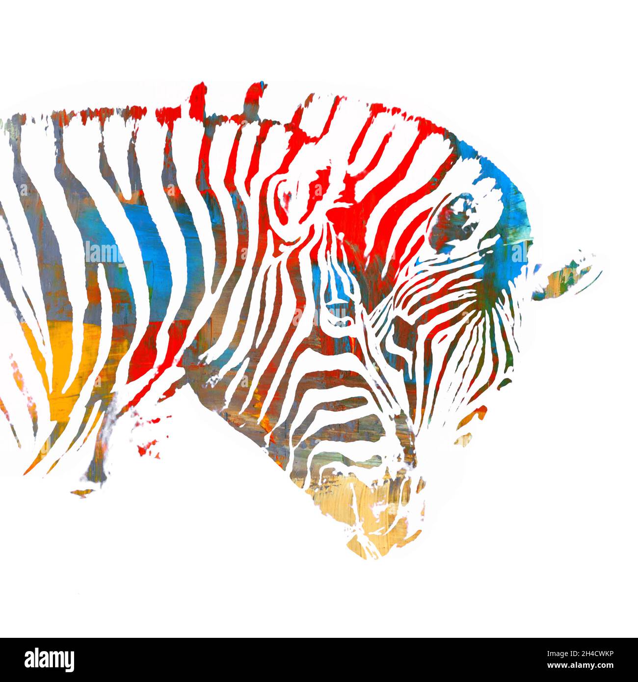 Portrait de deux Zèbres Banque D'Images