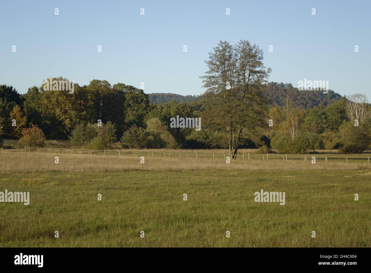 Paysage d'automne avec arbres et prairies au crépuscule, Ludwigswinkel, Fischbach, Rhénanie Palatinat, Allemagne Banque D'Images