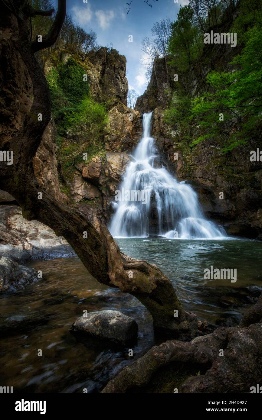 La douce cascade coule simplement sur les rochers Banque D'Images