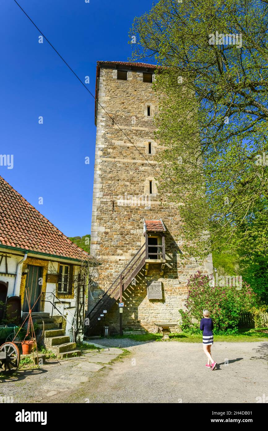 Bergfried, Burg Schaumburg, Rinteln, Weserbergland, Niedersachsen, Deutschland Banque D'Images