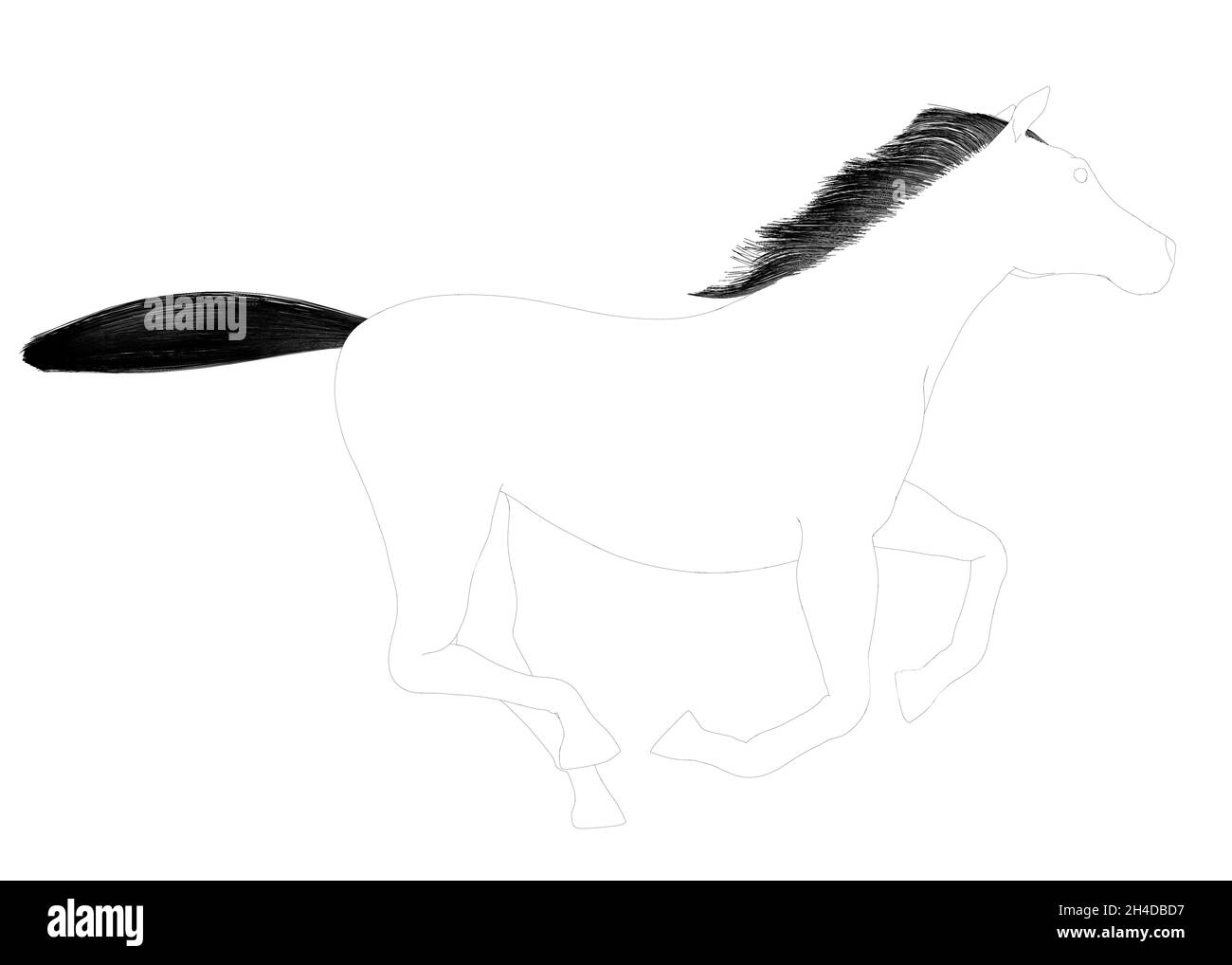 Contour d'un cheval galopant à partir de lignes noires isolées sur un fond blanc.Vue latérale.Illustration vectorielle Illustration de Vecteur