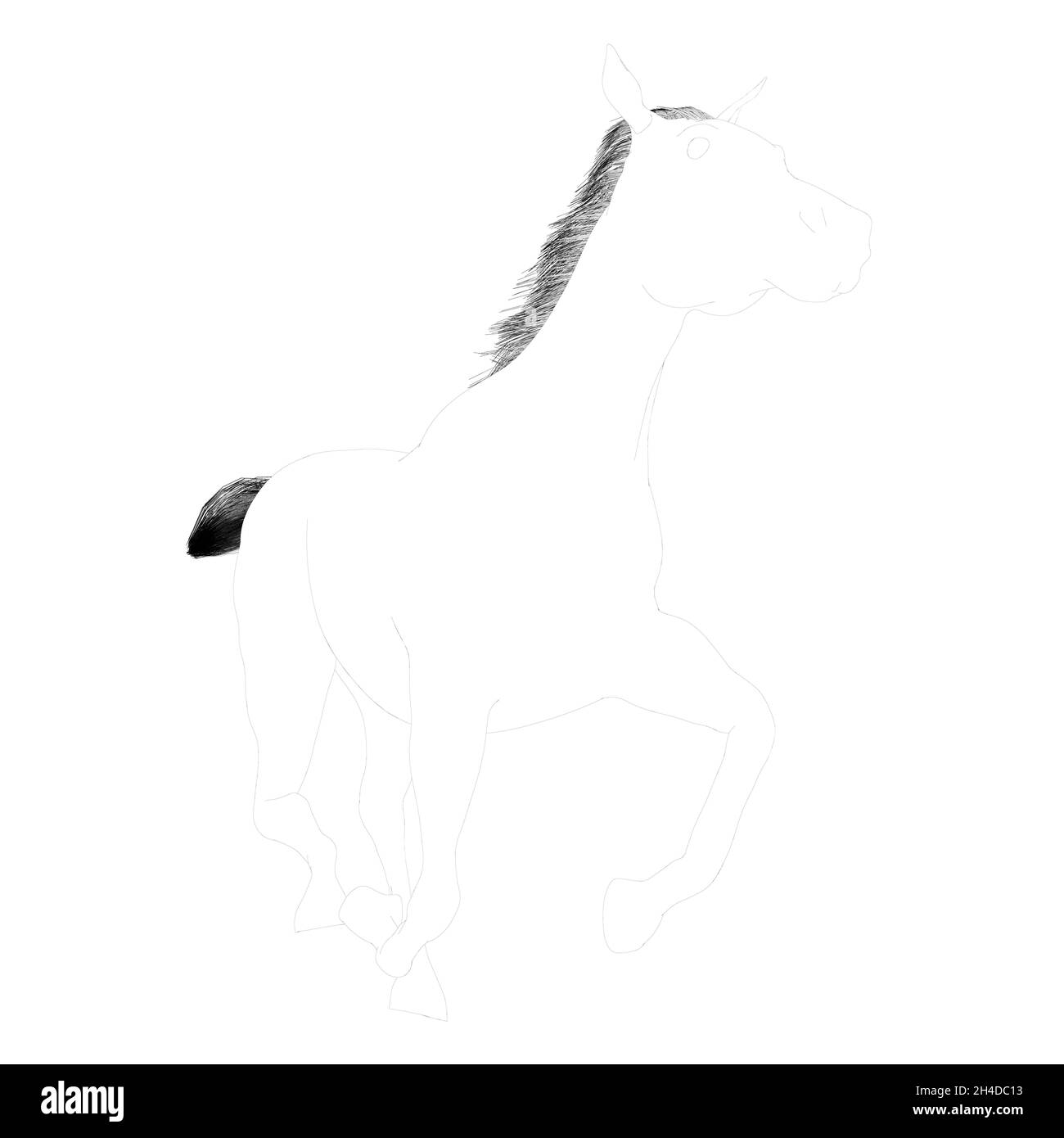 Contour d'un cheval galopant à partir de lignes noires isolées sur un fond blanc.Vue en perspective.Illustration vectorielle Illustration de Vecteur