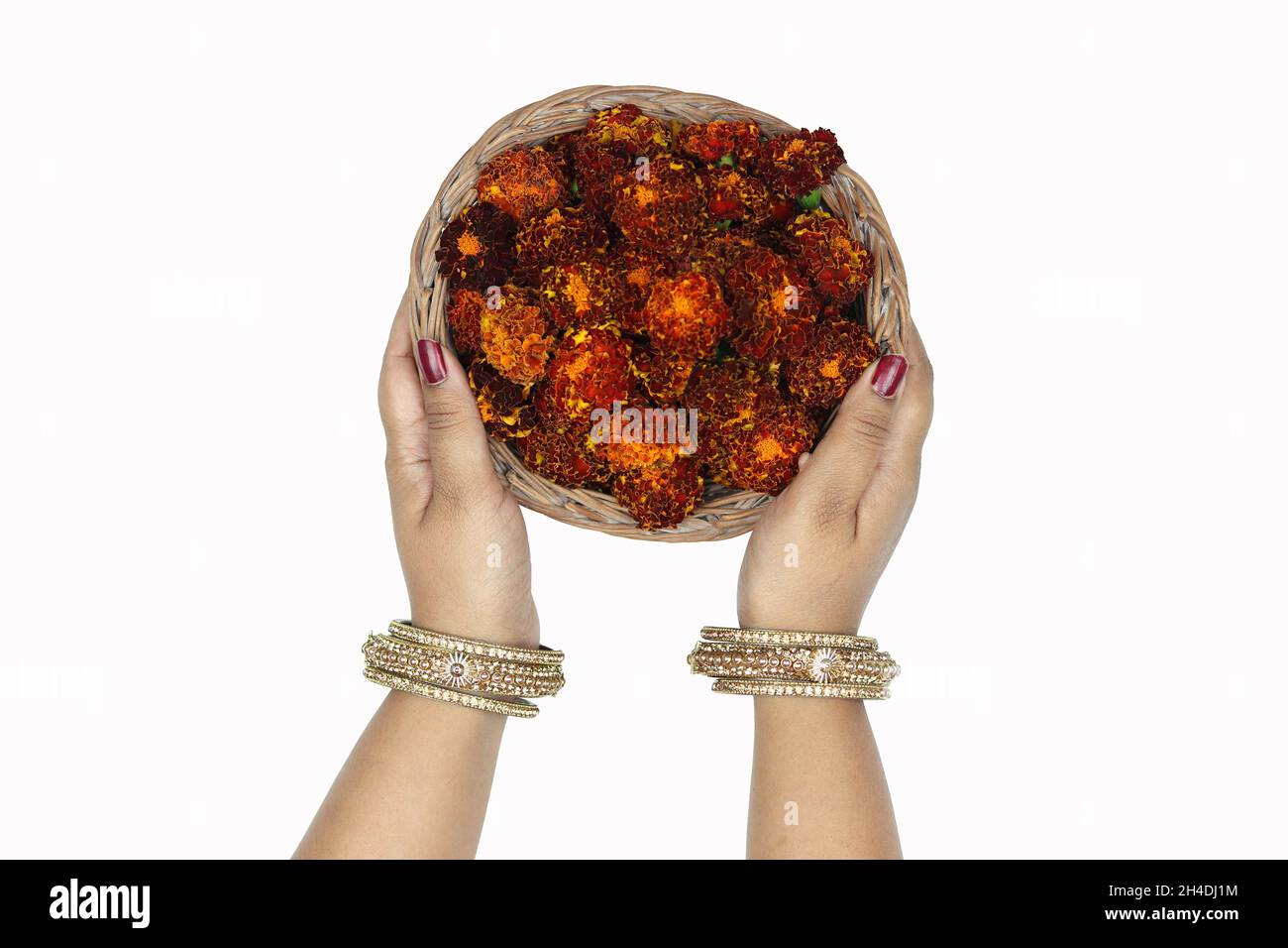 Mains de fille en bracelets Chhodi tenant le Bounty français Marigold fleurs avec des flammes dorées, Genda Phool Ki Puja Tokri ou Dalia pour la décoration à Shubh Banque D'Images