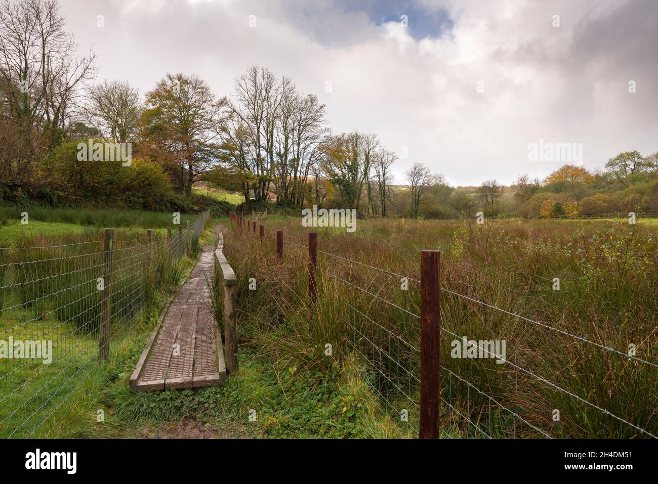 Un sentier de promenade bordé clôturé et une promenade à travers les terres agricoles soggy dans la vallée de la Barle à Withypool dans le parc national d'Exmoor, Somerset, Angleterre. Banque D'Images