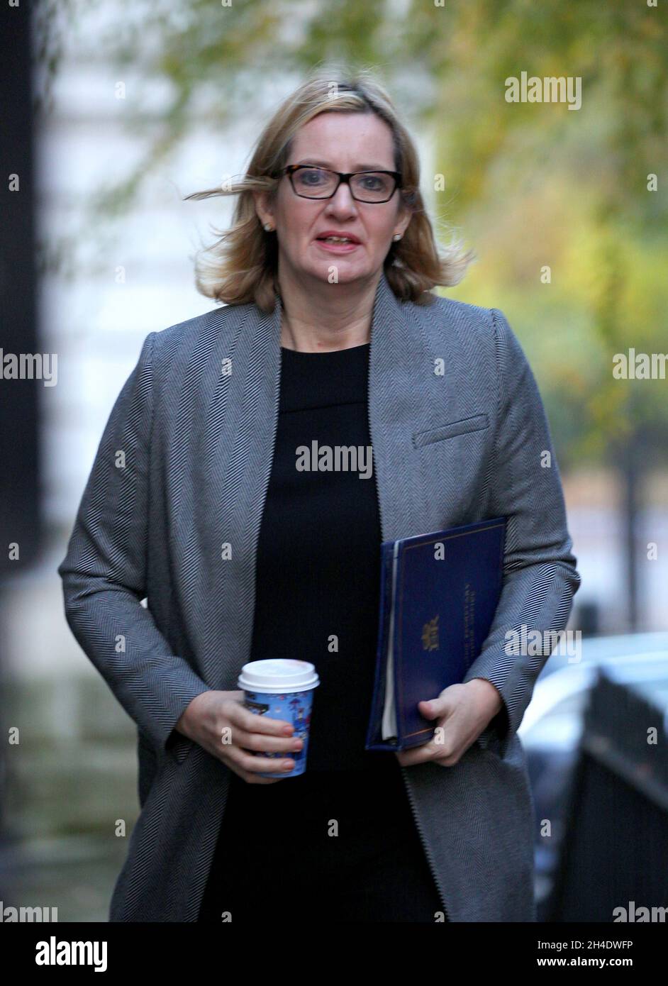 La secrétaire à l'intérieur Amber Rudd assiste à une réunion du Comité de réforme sociale à Downing Street, Londres.Date de la photo: Mardi 22 novembre 2016.Crédit photo devrait se lire: Isabel Infantes / EMPICS Entertainment. Banque D'Images