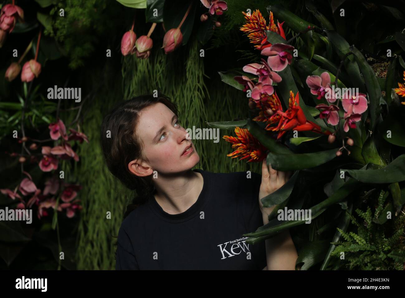 L'horticulteur Georgia Sellars effectue quelques ajustements finaux lors d'un aperçu du Kew Orchid Festival: Celebrate the color of Colombia, exposé aux Royal Botanic Gardens, Kew, West London..Photo datée du mercredi 7 février 2019.Crédit photo devrait se lire: Isabel Infantes / EMPICS Entertainment. Banque D'Images