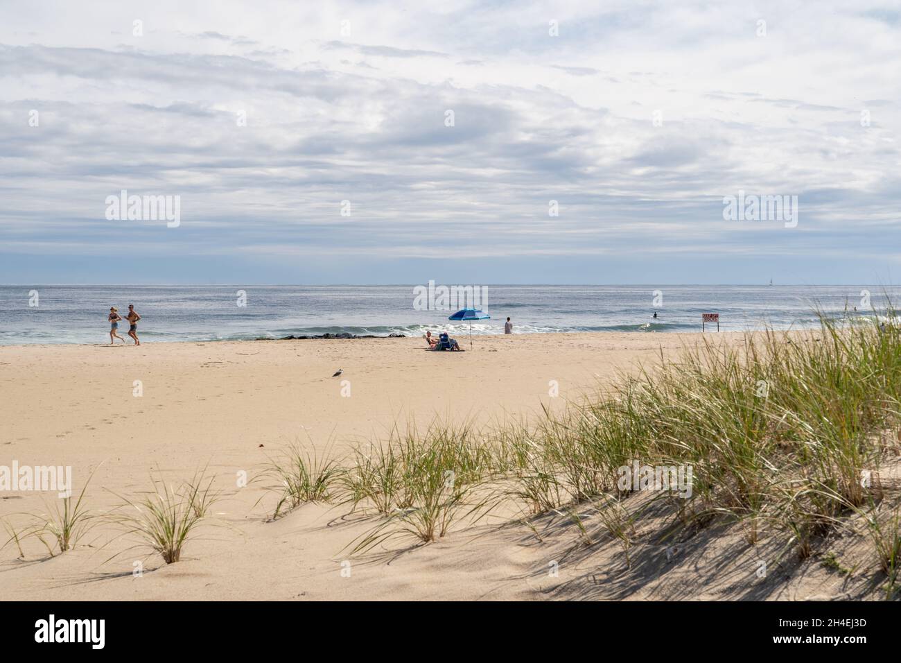 Journée parfaite sur la rive du Jersey, dunes herbeuses en premier plan avec jogging, surfeur et des personnes se détendant sous un parasol au loin Banque D'Images