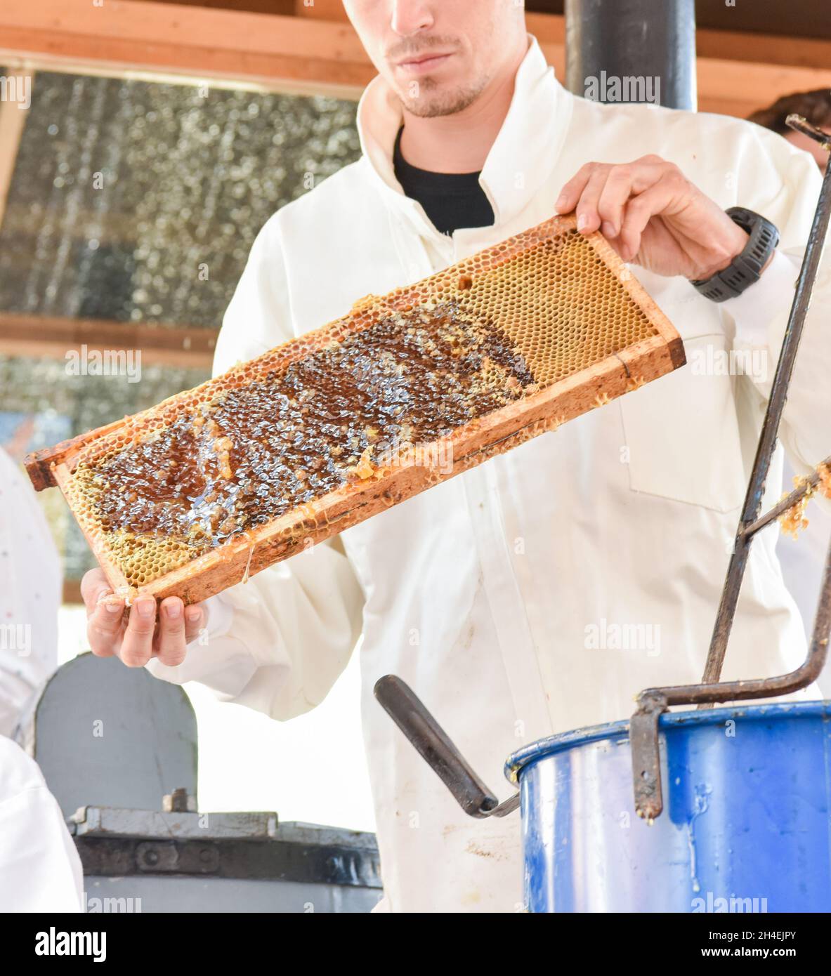 Jeune apiculteur montrant un nid d'abeilles frais d'une ruche au miel vierge. Banque D'Images