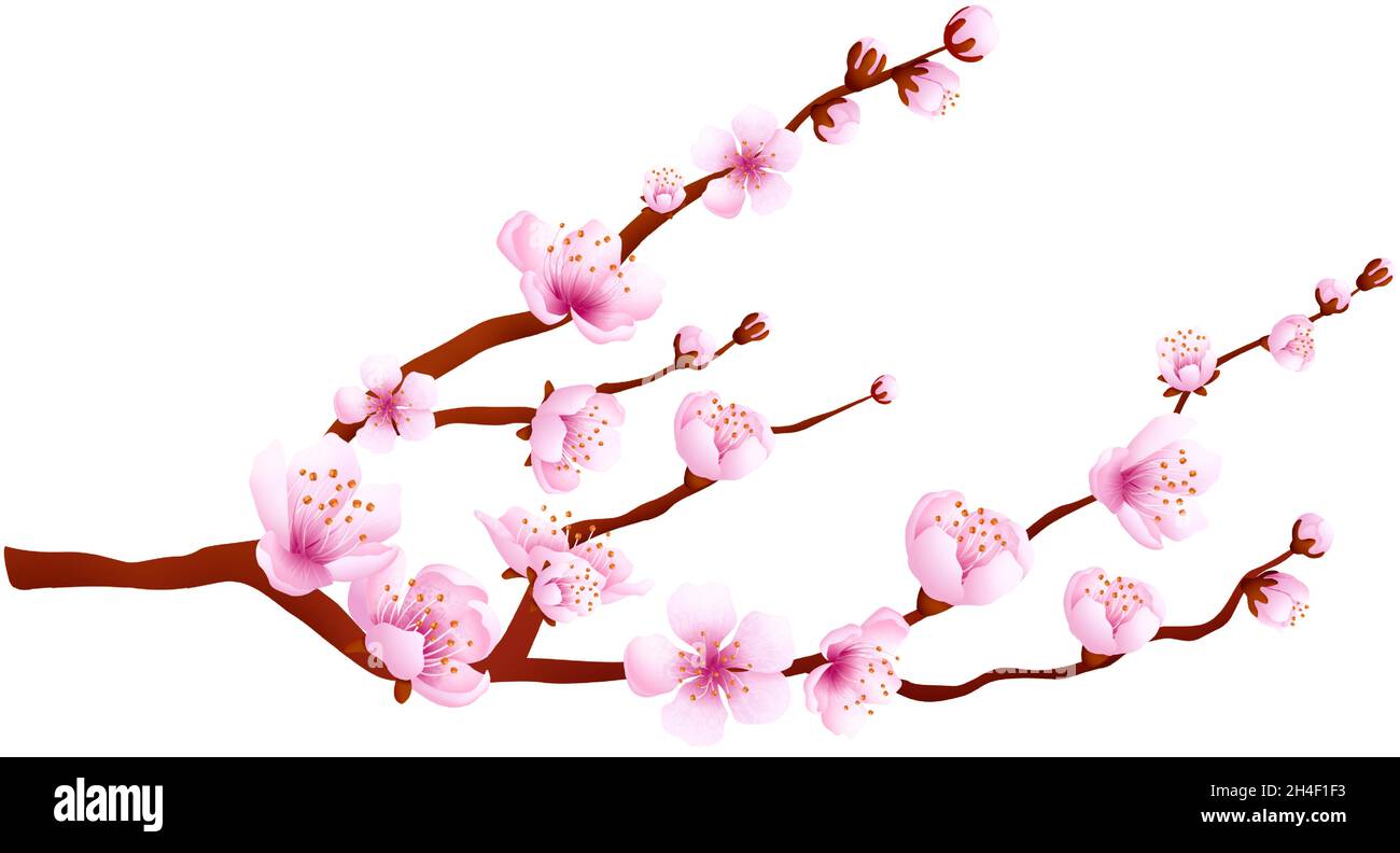 Icône en forme de fleur de cerisier.Arbre traditionnel japonais aux pétales roses Illustration de Vecteur