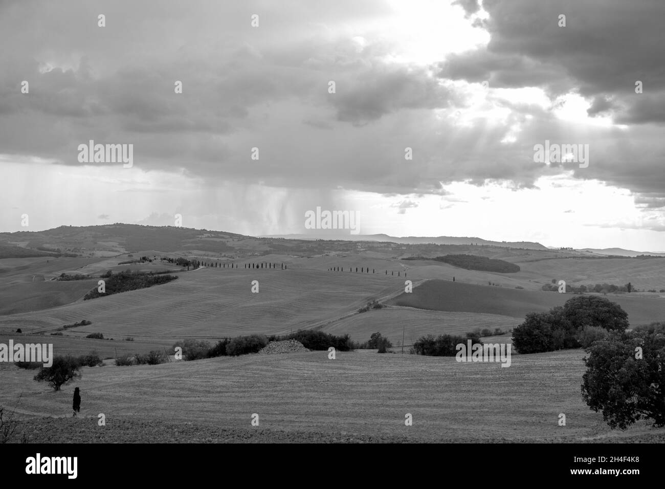 ITALIE TOSCANE Banque D'Images