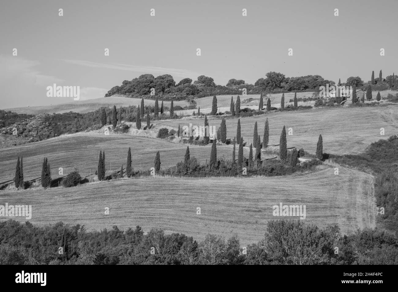 ITALIE TOSCANE Banque D'Images