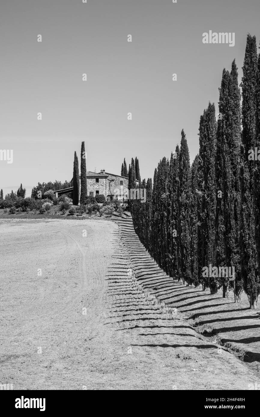 ITALIE TOSCANE Banque D'Images