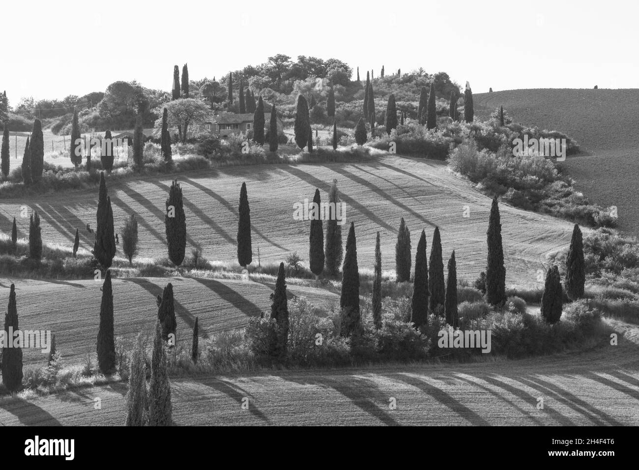 ITALIE TOSCANE Banque D'Images