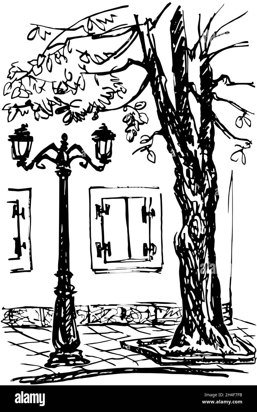 Un morceau de la rue avec un arbre, un lampadaire, et une fenêtre avec des volets fermés.Esquisse en noir et blanc. Illustration de Vecteur
