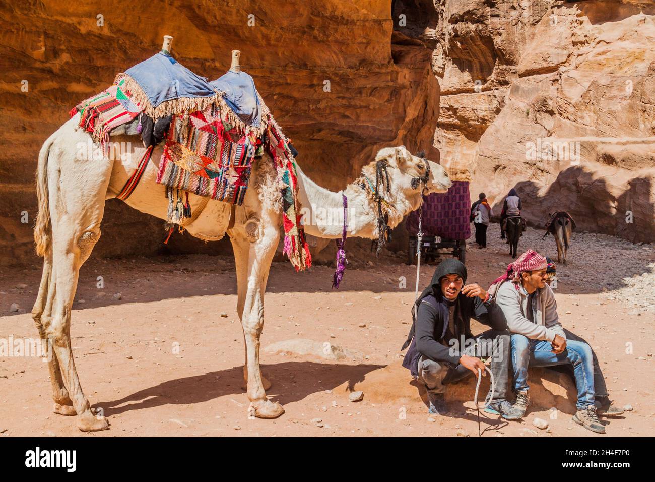 PETRA, JORDANIE - 24 MARS 2017: Les gens de la région avec leurs chameaux dans la ville antique de Petra, Jordanie Banque D'Images