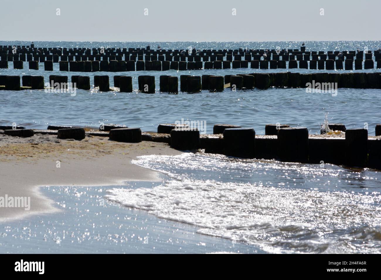 Brise-lames, groynes et plage de la mer Baltique - Fischland, Darß, Zingst, Allemagne Banque D'Images