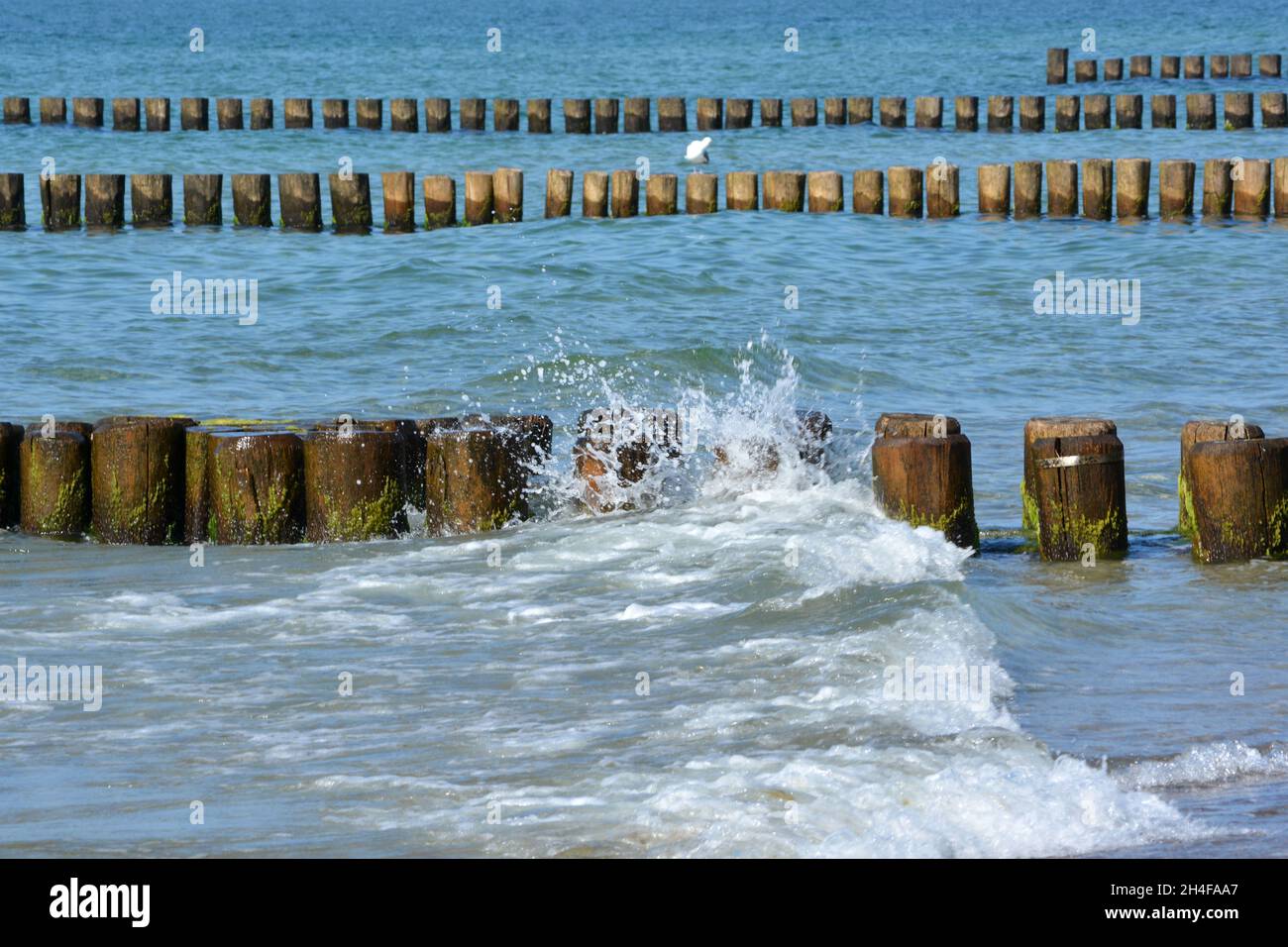 Brise-lames, groynes et plage de la mer Baltique - Fischland, Darß, Zingst, Allemagne Banque D'Images