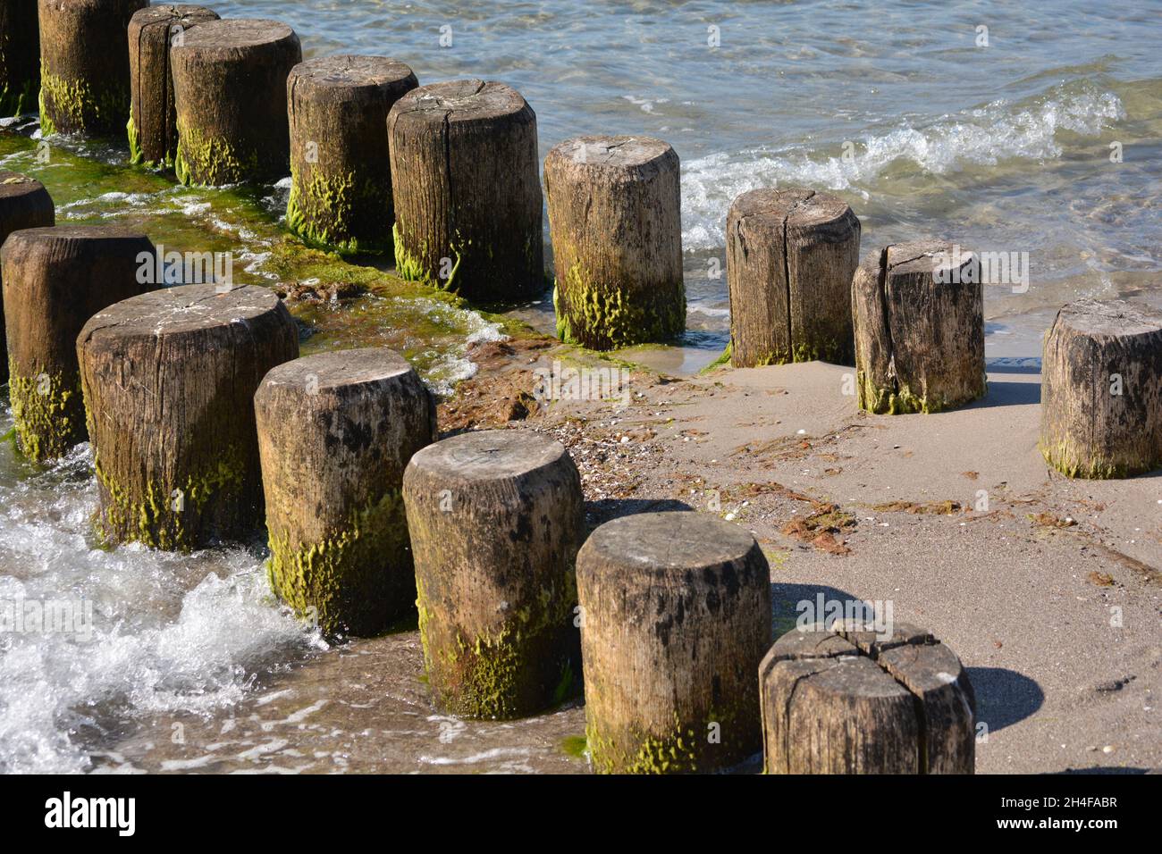 Brise-lames, groynes et plage de la mer Baltique - Fischland, Darß, Zingst, Allemagne Banque D'Images