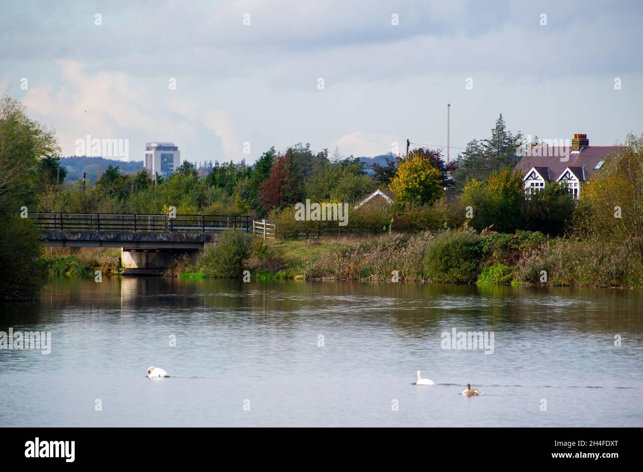 Slough, Berkshire, Royaume-Uni.2 novembre 2021.Travaux de traitement des eaux usées de Slough sur les rives de la rivière Jubilee.Les travaux d'assainissement doivent être améliorés.L'une des raisons est d'augmenter la capacité des installations d'égout.Un nouveau pipeline de sortie doit être construit sous Dorney Common et la rivière Jubilee, ce qui signifie que Thames Water sera en mesure de déverser des effluents « traités » et des eaux pluviales directement dans la Tamise.Les enquêtes de terrain ont déjà commencé.Thames Water a été condamnée à une amende de 2,3 millions de livres plus tôt cette année pour avoir déchargé des eaux usées dans la Tamise à Henley en 2016, tuant 1,200 poissons.Crédit : Maureen Mc Banque D'Images