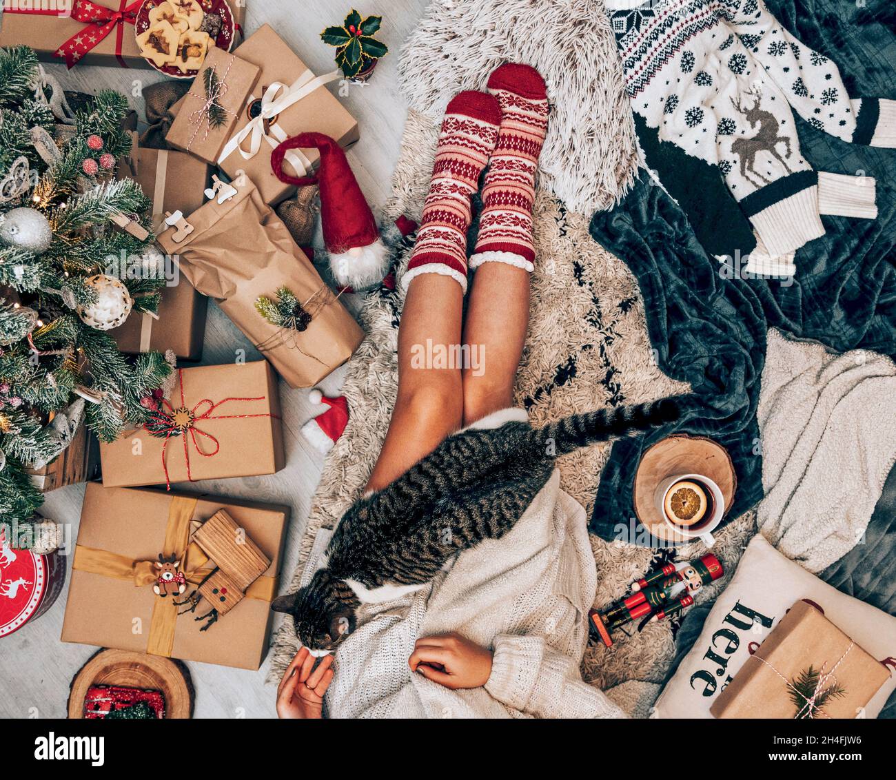 Photo de la femme assise par un arbre de chistmas décoré, en pétant un chat Banque D'Images