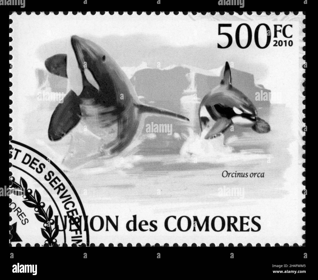 Timbre imprimé aux Comores,2010, Orcinus orca Banque D'Images