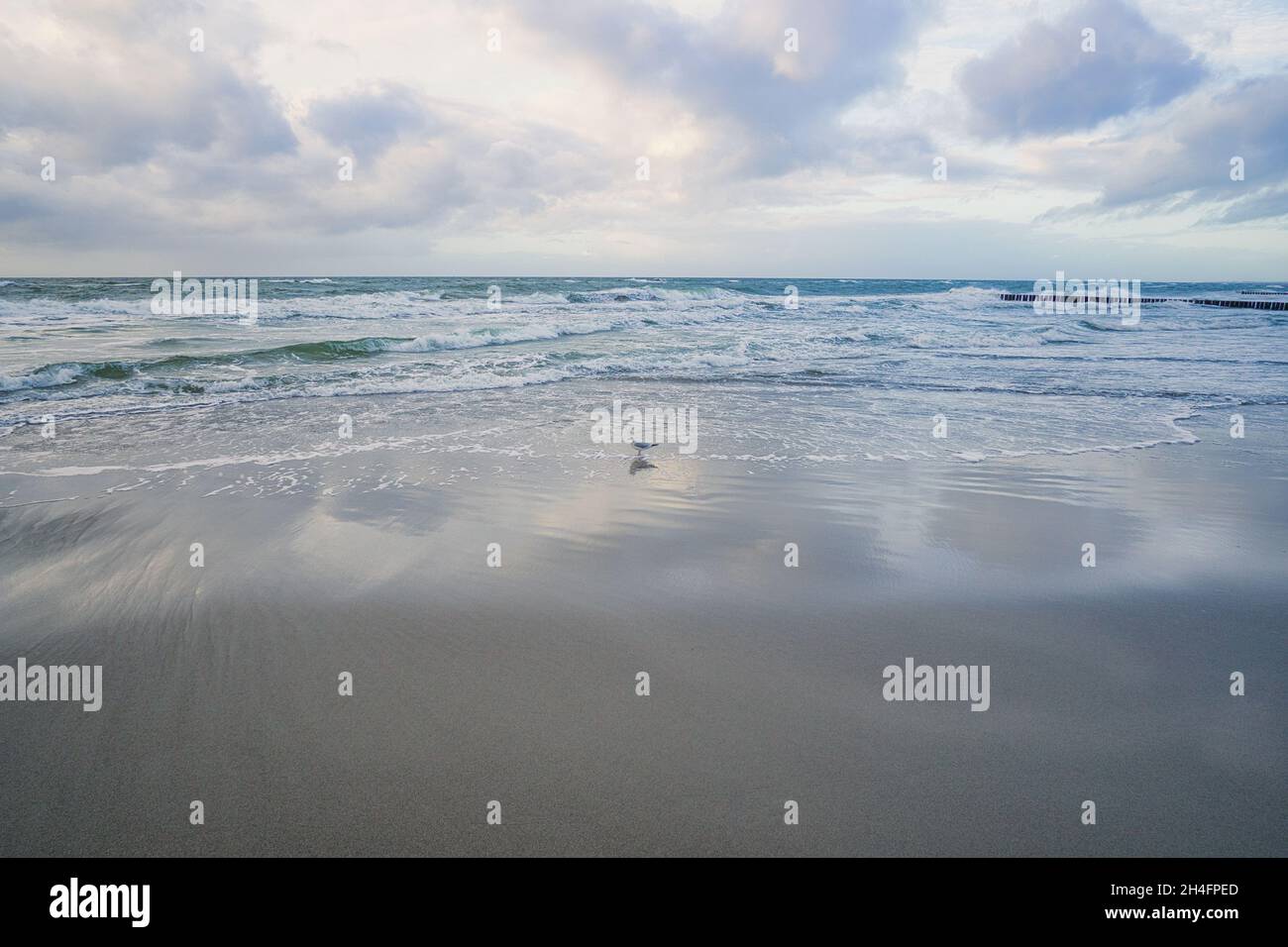 west beach sur la plage de la mer baltique. une vie encore détaillée et texturée. un bel endroit pour les vacances Banque D'Images