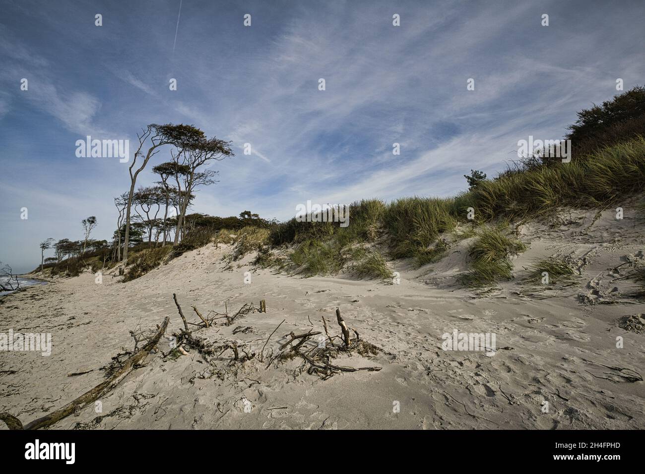 west beach sur la plage de la mer baltique. une vie encore détaillée et texturée. un bel endroit pour les vacances Banque D'Images