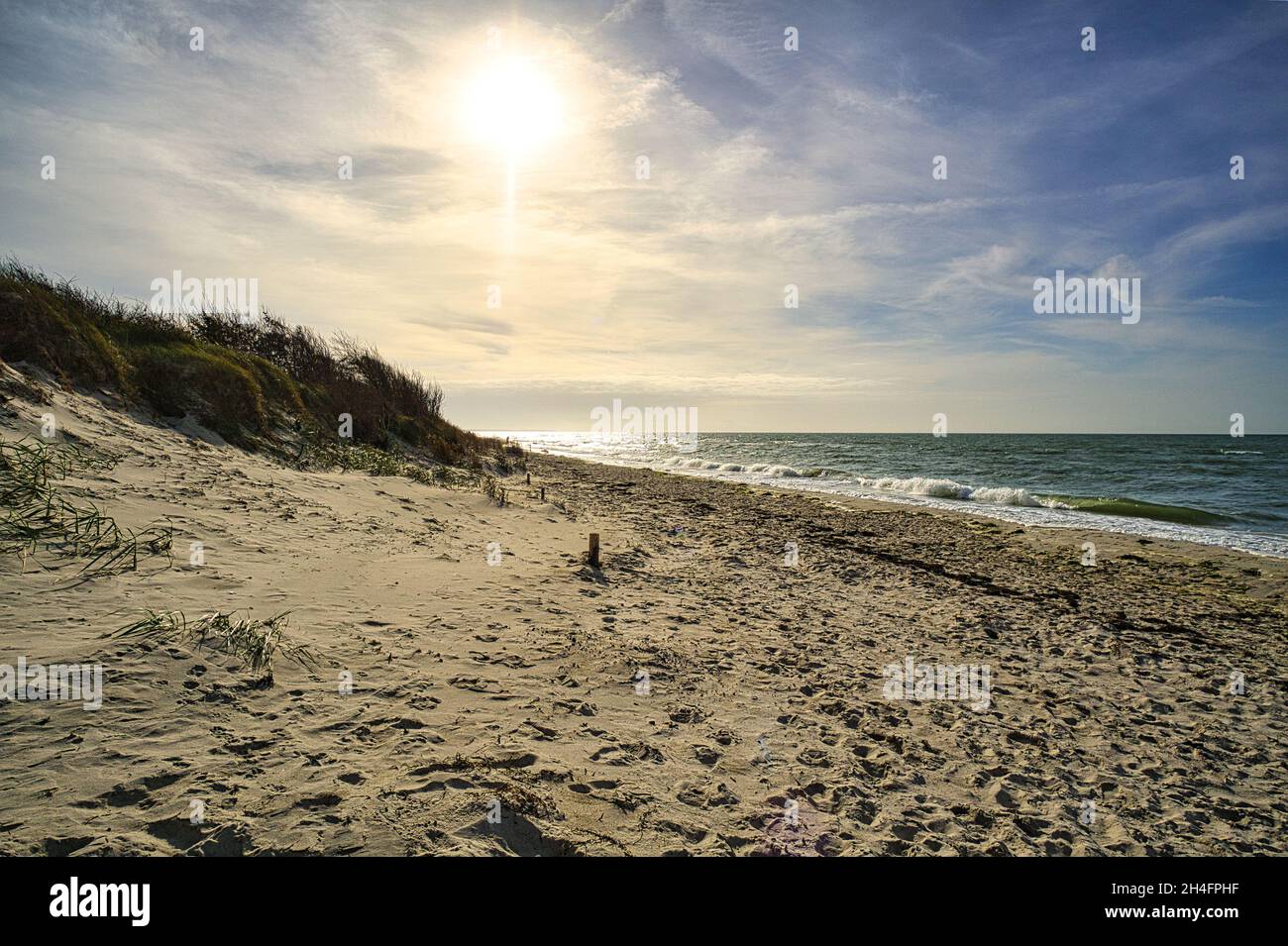 west beach sur la plage de la mer baltique. une vie encore détaillée et texturée. un bel endroit pour les vacances Banque D'Images