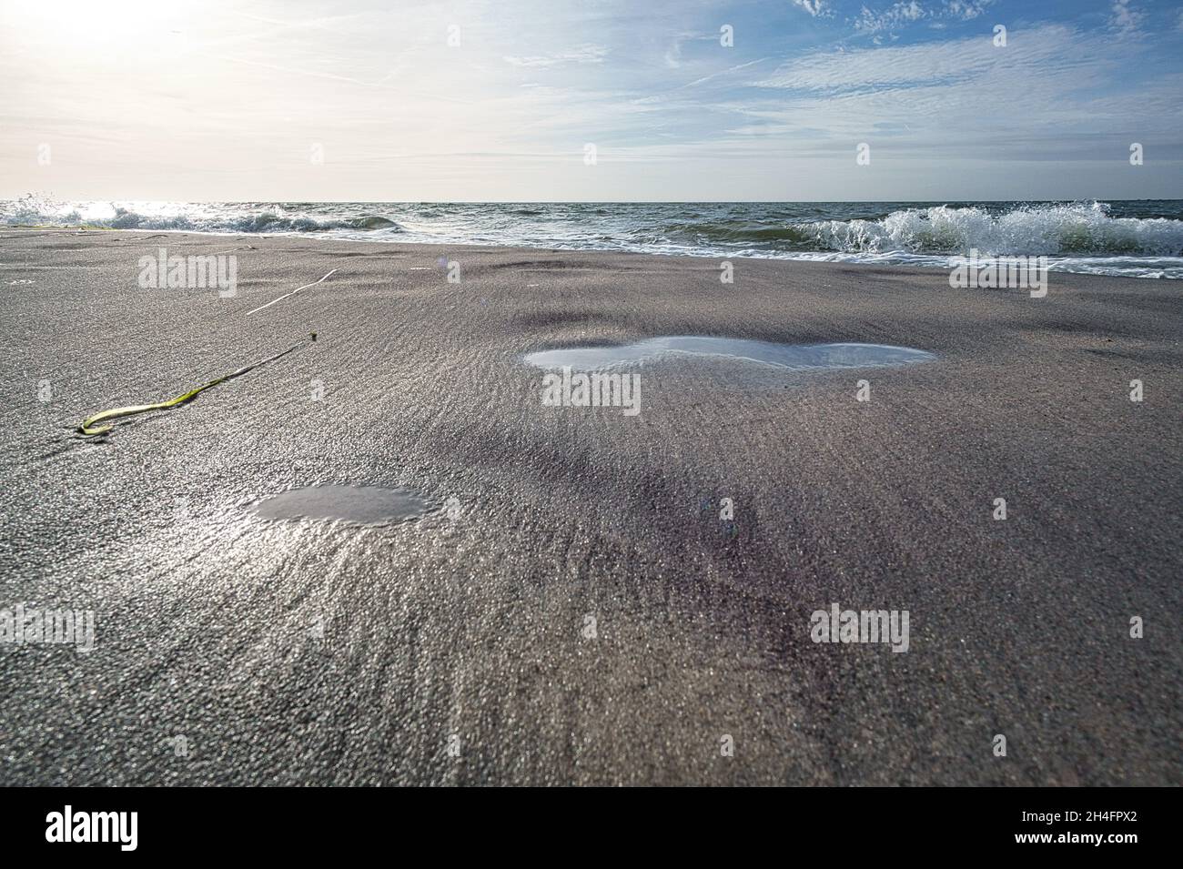 west beach sur la plage de la mer baltique. une vie encore détaillée et texturée. un bel endroit pour les vacances Banque D'Images