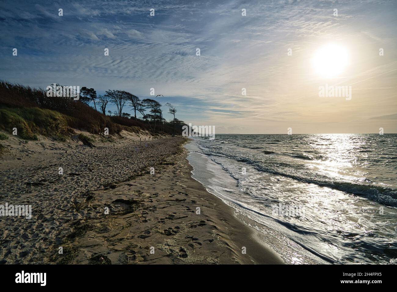 west beach sur la plage de la mer baltique. une vie encore détaillée et texturée. un bel endroit pour les vacances Banque D'Images