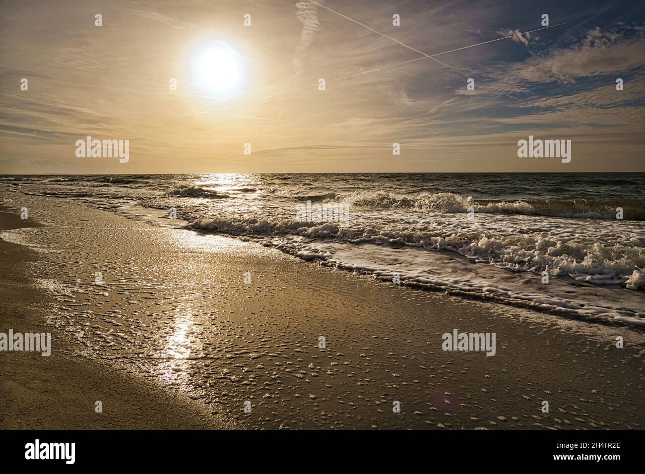 west beach sur la plage de la mer baltique. une vie encore détaillée et texturée. un bel endroit pour les vacances Banque D'Images