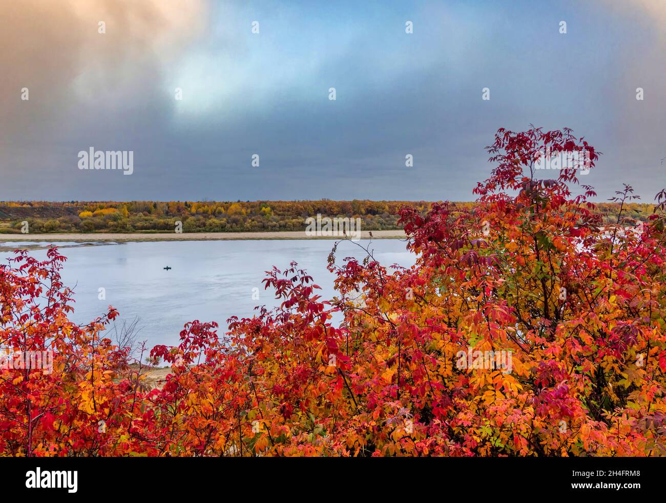 paysage d'automne avec un pêcheur, branches d'arbre rouge sur la rive de la rivière Banque D'Images