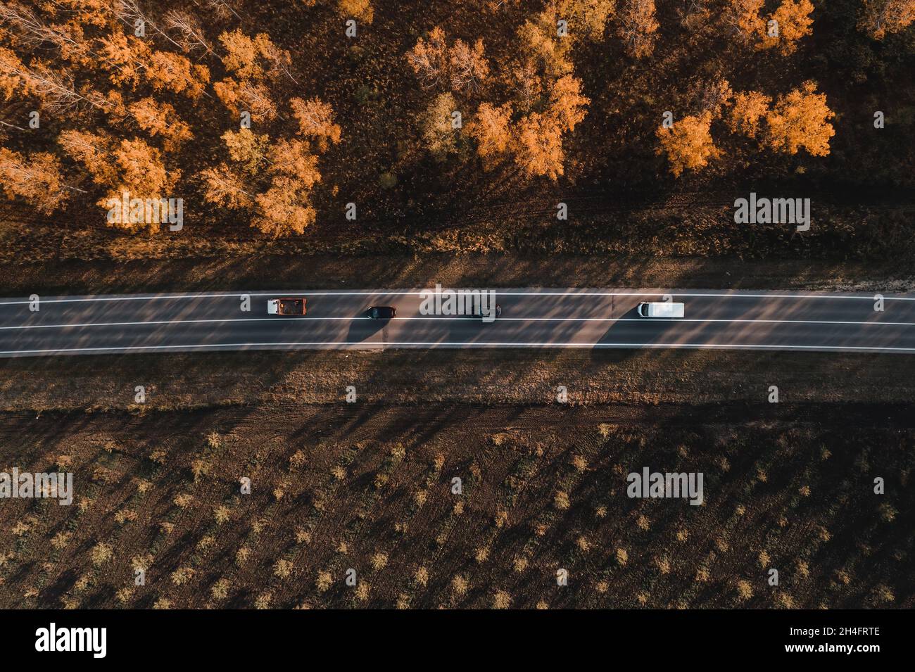 Photo aérienne de camion, de monospace et de deux voitures sur la route à travers la forêt en automne, en haut en bas drone pov de la circulation sur la chaussée dans le paysage non urbain Banque D'Images
