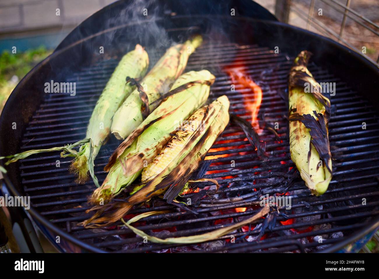 Un régal d'été, fraîchement moissonné maïs doux d'oreille entière avec des huttes étant grillées à l'extérieur, la cuisson à l'intérieur des huttes pour préserver l'humidité, Hammond, MN, Etats-Unis Banque D'Images