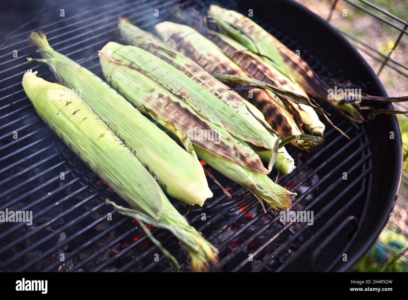 Un régal d'été, fraîchement moissonné maïs doux d'oreille entière avec des huttes étant grillées à l'extérieur, la cuisson à l'intérieur des huttes pour préserver l'humidité, Hammond, MN, Etats-Unis Banque D'Images