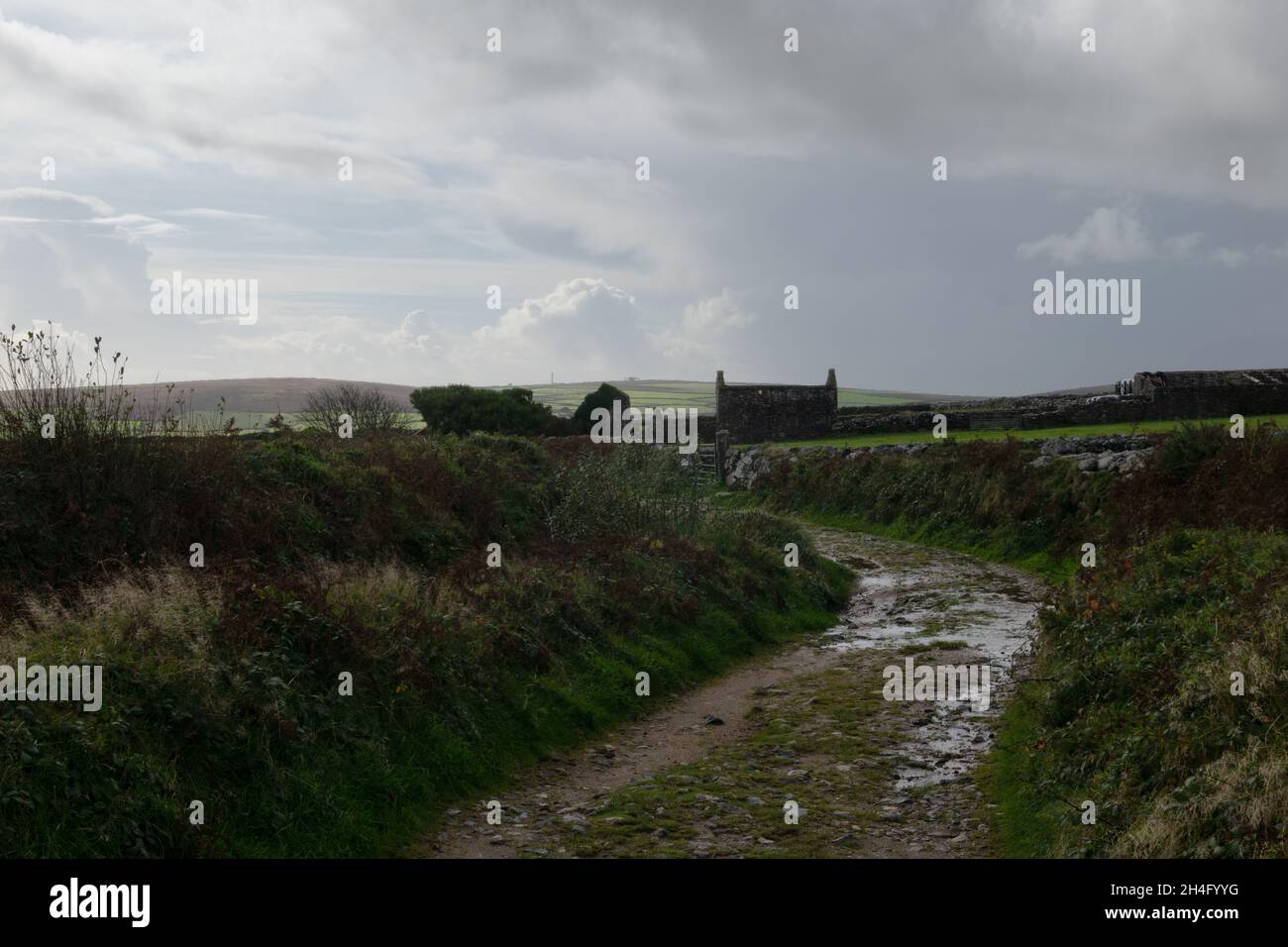 Piste rurale près de Madron sur la Penwith Peninsula, Cornwall, Royaume-Uni Banque D'Images