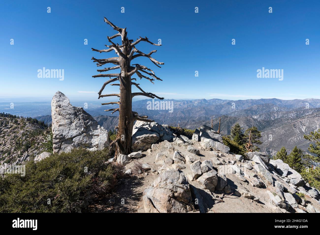 Pic de l'Ontario dans la forêt nationale d'Angeles, près du mont Baldy et de Los Angeles, en Californie. Banque D'Images