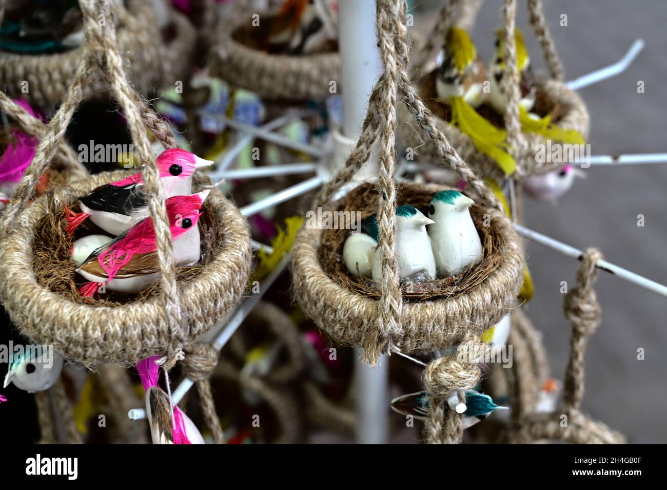 Gros plan des mannequins en plastique d'oiseaux de couleur Banque D'Images