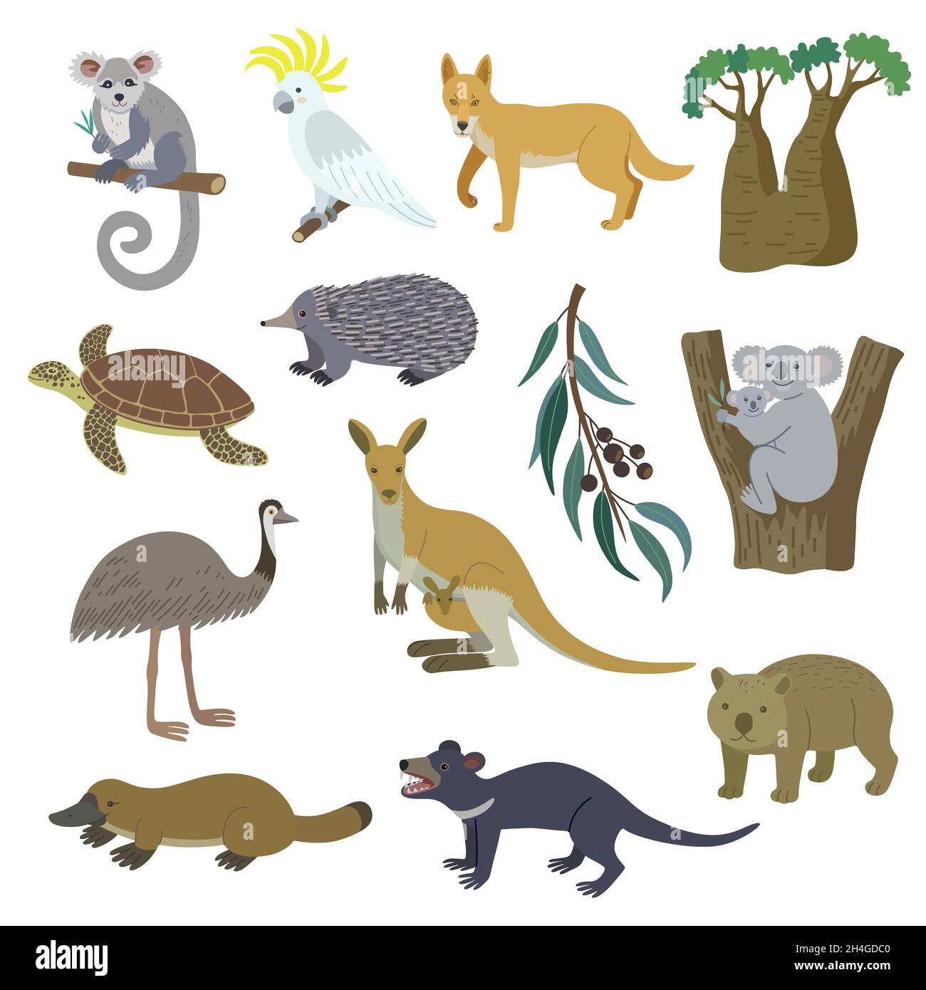 Grand ensemble de nature de l'Australie, animaux, oiseaux, tortue et plantes.Dessin animé vectoriel clip art dessin à la main, isolé sur fond blanc. Illustration de Vecteur