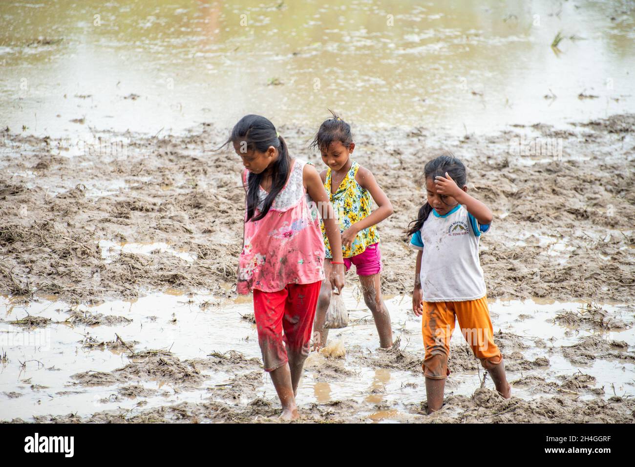 An Giang 21 septembre 2019.Les enfants jouent sur le champ de riz dans le festival traditionnel cambodgien sur le terrain Banque D'Images