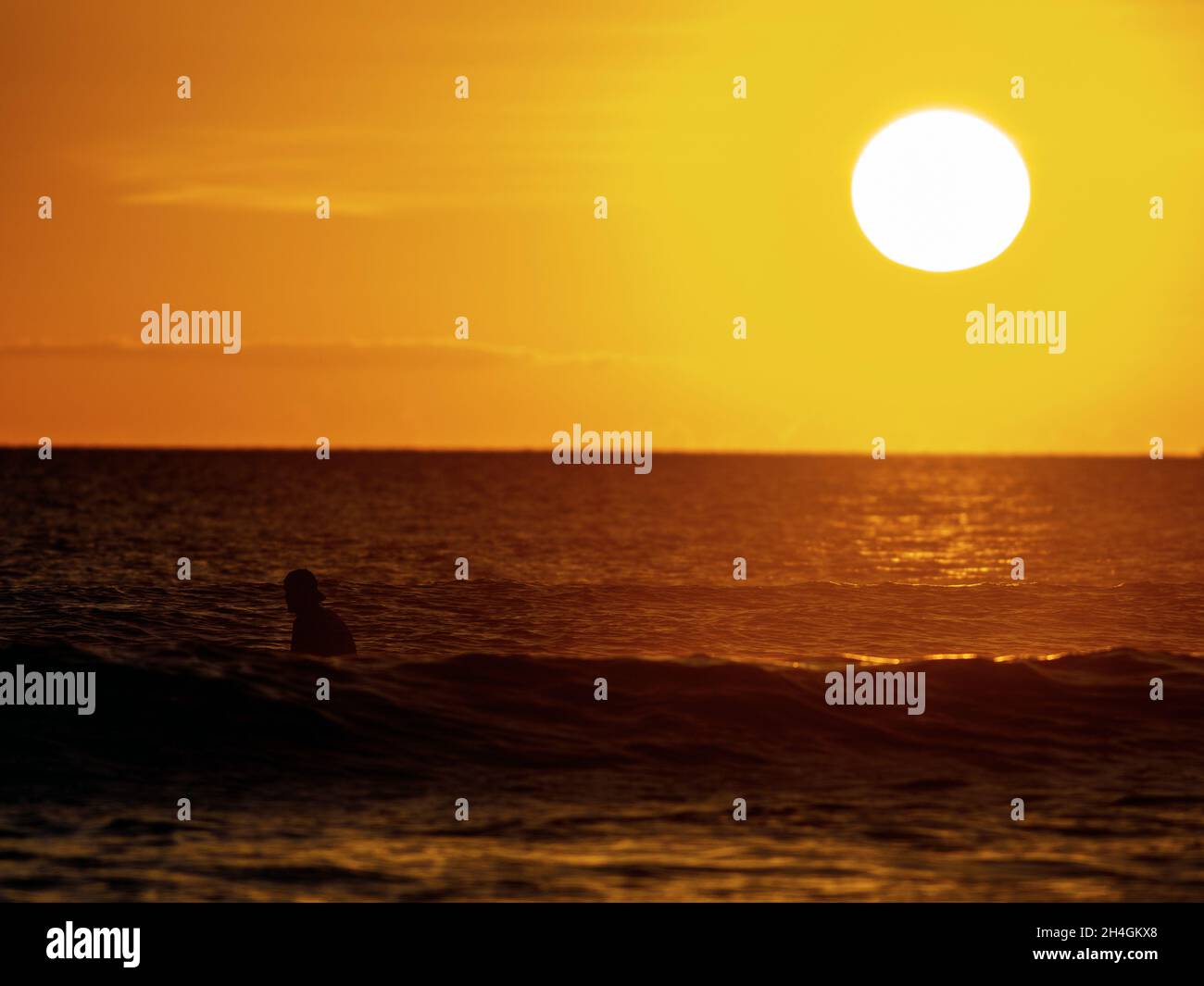 Surf au coucher du soleil.Style de vie actif en extérieur.Photo de haute qualité Banque D'Images